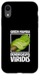 Coque pour iPhone XR Mamba vert