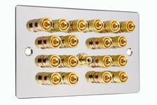9.1 Surround Sound Speaker Wall Face Plate Gold Binding Posts Polished Chrome