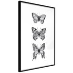 Plakat - Three Butterflies - 20 x 30 cm - Sort ramme