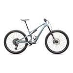 STUMPJUMPER 15 COMP, S6, Gloss Seafoam / Silver Dust