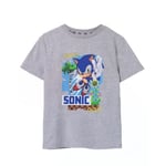 Sonic The Hedgehog Childrens/Kids Sonic T-Shirt - 5-6 Years