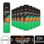 Lynx XXL Body Spray 48-H High Definition Fragrance Deodorant for Men 250ml, 30pk