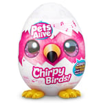 Pets Alive Chirpy Birds Electronic Pet That Speaks Giant Surprise Egg