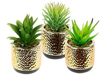 Lot de mini plantes succulentes dans un pot en céramique doré avec pierres décoratives - Plantes artificielles en pot - Plantes vertes - Agave - Cactus, plantes grasses, cactus, plantes d'intérieur