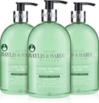 Baylis & Harding Aloe, Tea Tree & Lime Anti-Bacterial Hand Wash, 500 ml (Pack o