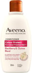 Aveeno Colour Protect Blackberry and Quinoa Scalp Soothing Conditioner for Colo