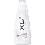 XL Silver Shampoo 400 ml