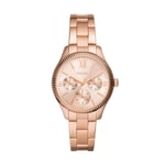 Naisten kello Fossil BQ3691