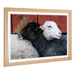 Big Box Art Framed Print of Black and White Sheep (2) Design | Wall Art Picture | Home Decor for Kitchen, Living, Dining Room, Bedroom, Hallway, Office, Oak, A2 / 24.5x18 Inch / 62x45cm