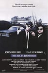 Close Up BLUES BROTHERS POSTER (61cm x 91,5cm) + a surprise poster!