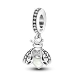 TINSLO 925 Sterling Silver Charms Beads for Pandora Bracelet, Dangle Pendant Charms for Necklace and Bracelet Jewelry Gifts for Women