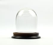 Vintage Look Small Glass Dome With Wooden Base Height 11.5 x 8 cm