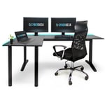 Bureau d'angle de jeu V2 led, 197 x 132 cm, table de jeu rgb en forme de l, hub usb, gestion des câbles, bureau d'ordinateur en forme de l (gauche,