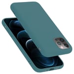 Coque pour Apple iPhone 13 PRO en LIQUID GREEN Housse de protection Étui en silicone TPU flexible - Neuf