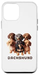 Coque pour iPhone 12 mini Design simple teckel