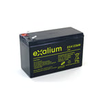 Batterie plomb 12V 36W Exalium EXA1236W