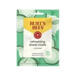 Refreshing Cucumber Sheet Mask 1 Count By Burts Bees