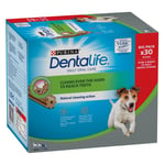 Purina Dentalife -hammashoitoherkut pienille koirille (7-12 kg) - 30 tikkua (10 x 49 g)