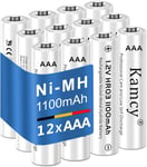 Piles Rechargeables AAA 1100mAh, 1,2V Ni-MH Accu LR03 Rechargeables, Batteries Grande Capacité, 1200-1500 Cycles Batterie AAA, AAA Rechargeable,Faible Auto-décharge (Lot de 12).[G301]