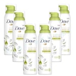 6 x 200ml Dove Coconut Oil Shower Mousse  Shower & Shave 24 Hour Softness