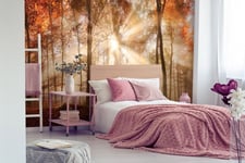 Bedroom autumn Forest Photo Wallpaper 123"x86" golden dawn orange trees