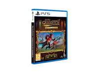 Ps5 Game Harry Potter Quidditch Champions