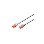 ewent IM1010 - Cordon Patch Réseau Cat 6 U/UTP, AWG 24/7, 2 Connecteurs RJ45 Blanc