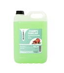 Desmabel Shampoing Familial à l'Essence de Grenade, Shampoing Carafe, Shampoing Coiffure Professionnel, Sans Paraben, Ph 5.5, Usage Quotidien. Formulation douce, 5000 ml