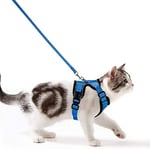 Wdmiya Harnais Chat Petit Chien Laisse Harnais Chaton Réglable Gilet Refléchissant Respirant, Collier Harnais et Laisses Sécurité Anti-évasion pour Lapin Chats et Chiots (S, Bleu)