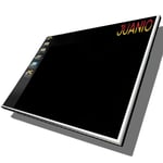 Dalle Ecran 14" LED pour LENOVO THINKPAD L460 20FU001HUS 1366X768 avec fixations