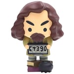 Wizarding World Of Harry Potter Sirus Charm Figurine