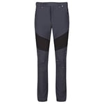 Regatta Men Mountain Water Repellent Active Hiking Pants Trousers - Seal Grey/Black, 40-Inch