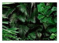 Papier Peint Intissé Panoramique Jungle Feuilles Forêt tropicale 200x140 cm Tapisserie Chambre Photo Non Tissé Muraux Trompe l'oeil