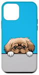 Coque pour iPhone 12 mini Chiot pékinois mignon et amusant pour amoureux des chiens pékinois