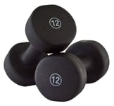 Shengluu Weights Dumbbells Sets Women Dumbbells Set Cast Iron Hand Dumbbell For Home Fitness Exercise Barbell Set (Color : 12LB*2)