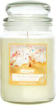 AIRPURE Large Candle Scented, Vanilla Cupcake Fragrance, 120 Hour, 18oz Jar