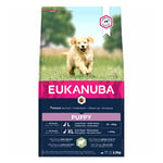 Eukanuba Puppy Large Breed Lamb & Rice