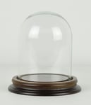 Vintage Look Small Glass Dome With Wooden Base Height 13.5 cm