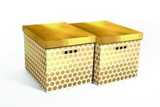 Domoletti Foldable Cart Box2 44X35x32cm Gold Dots