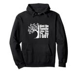 Ain't No Family Like The One I Got Funny Family Reunion Pullover Hoodie