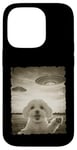 Coque pour iPhone 14 Pro Caniche maltais selfie vieux téléphone photo drôle observation OVNI