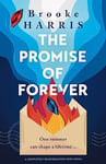 The Promise of Forever: A completely heartbreaking Irish novel