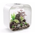 Oase - Aquarium 30l contours blanc Life 30MCR white