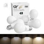 GY Ampoule LED E27 Dimmable, 9.5W Équivalent 100W, Blanc Neutre 4000K 1521LM, Ampoule Edison A60 Classe C, Compatible avec Variateur de Lumière, Lot de 6