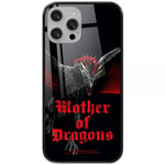 ERT GROUP Coque de téléphone Portable pour Apple Iphone 13 Original et sous Licence Officielle Games of Thrones Motif Game of Thrones 002 en Verre trempé, Coque de Protection