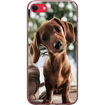 Apple iPhone SE (2022) Gennemsigtigt Telefoncover Ung Hund