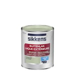 Sikkens - Peinture Laque Extérieure Bois et Fer - Finition tendue, sous-couche intégrée, facile à appliquer - Satin Vert Provence 0,75 L