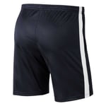 Nike Dry Academy 19 Shorts