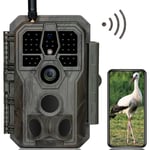 GardePro E8 Caméra de Chasse WiFi Antenne avec App 64MP 1296P H.264 Vidéo, Jusqu' 30m No Glow Infrarouge Vision Nocturne, Vitesse de Dclenchement 0,1s et Angle de Dtection 120°