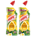 HARPIC Lot de 2 Gels WC - Nettoyant Fraicheur d'Ailleurs Parfum Fruits Exotiques 750 ml